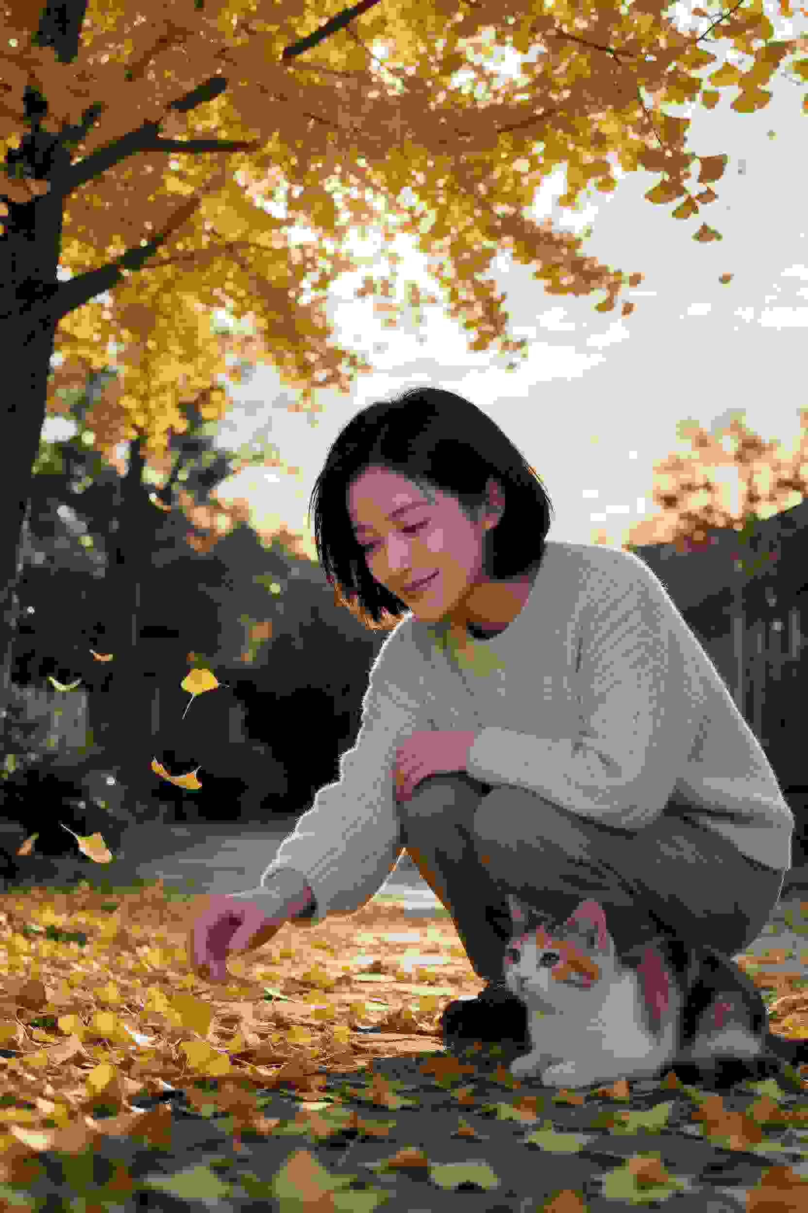 暗夜密码